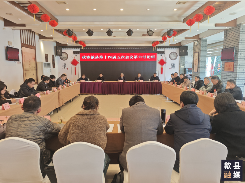 熊志伟 吴志良参加县政协十四届五次会议第六讨论组讨论